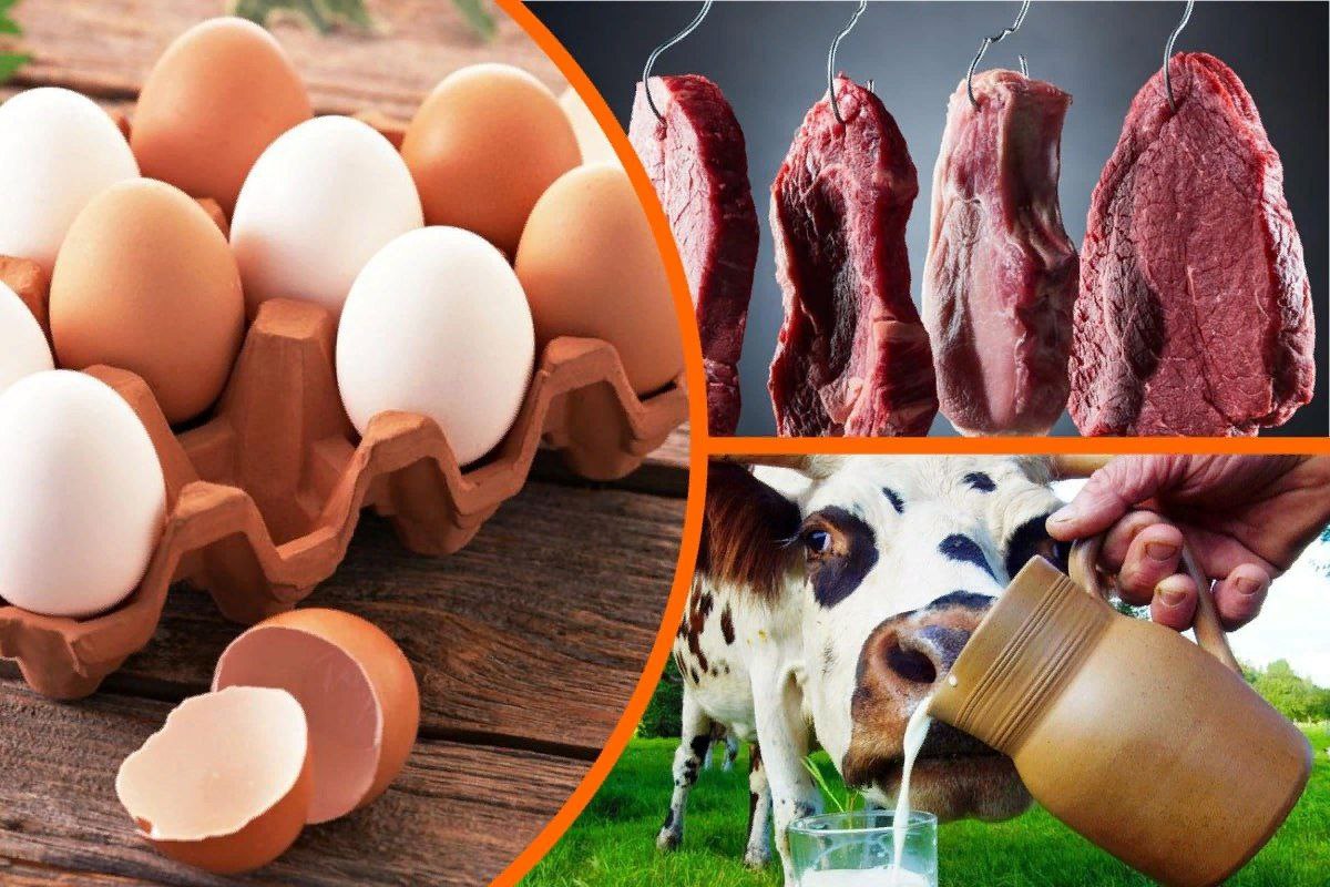 В Кабардино-Балкарии наблюдается рост производства продукции животноводства