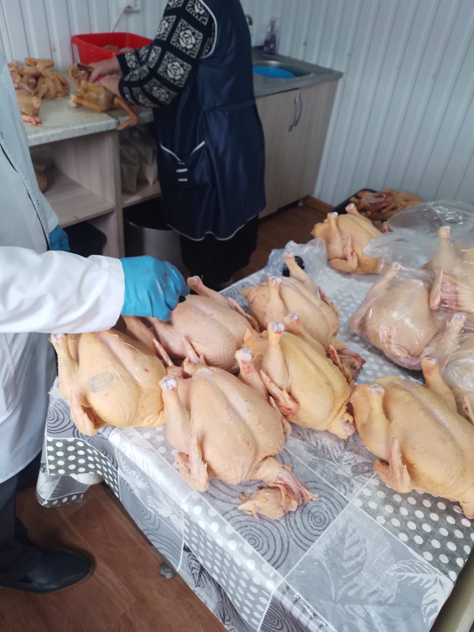 Ветеринарно-санитарная экспертиза мяса, мясных и молочных продуктов, овощей и фруктов  в Терском районе