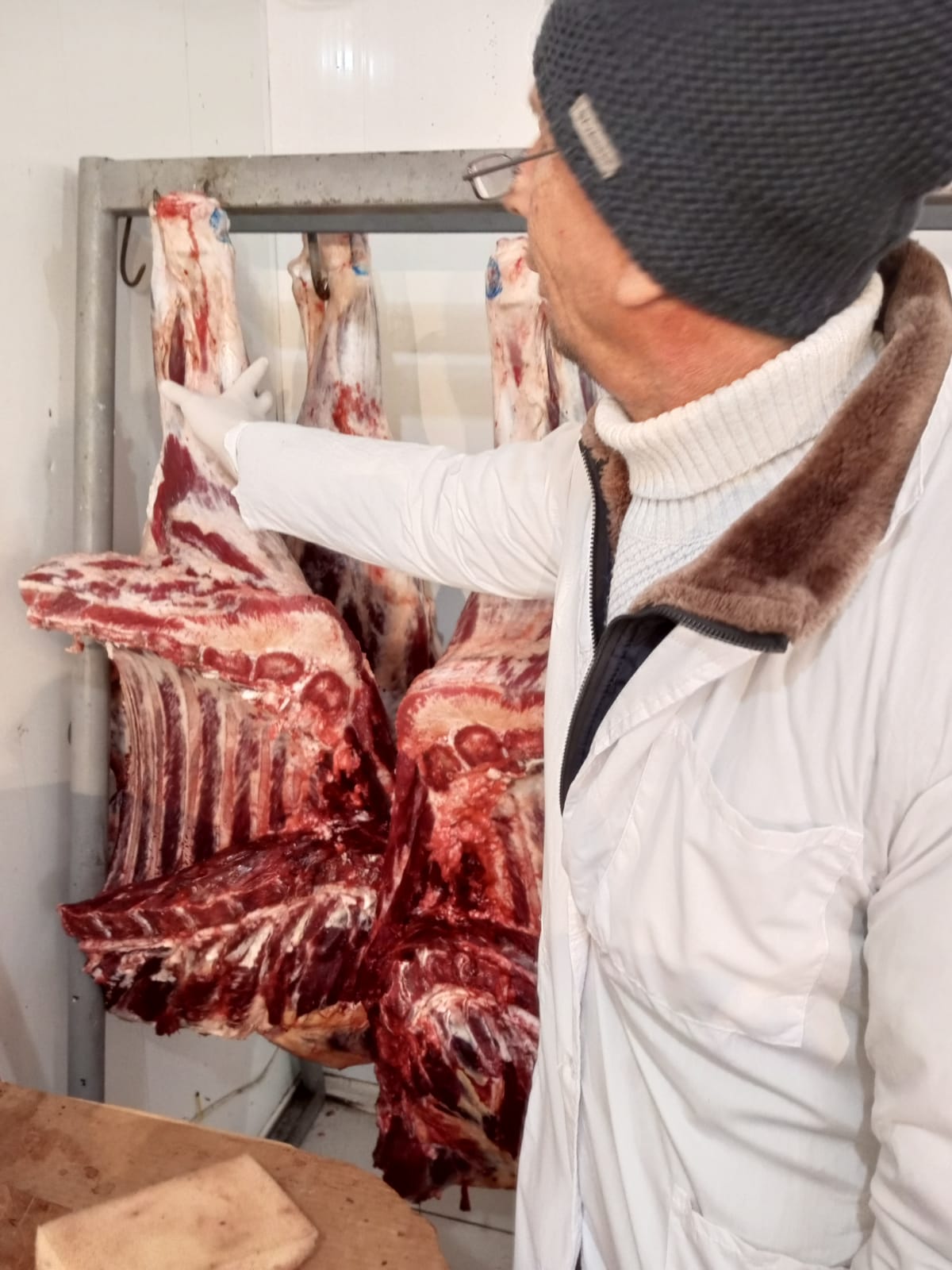 Ветеринарно-санитарная экспертиза мясо-молочных продуктов в г. Терек 