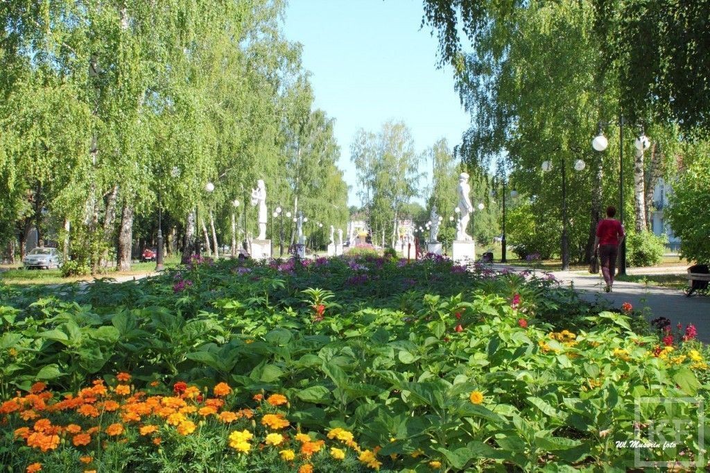 Почти 60 аллей появилось по всей России в честь 20-летия Кадастровой палаты