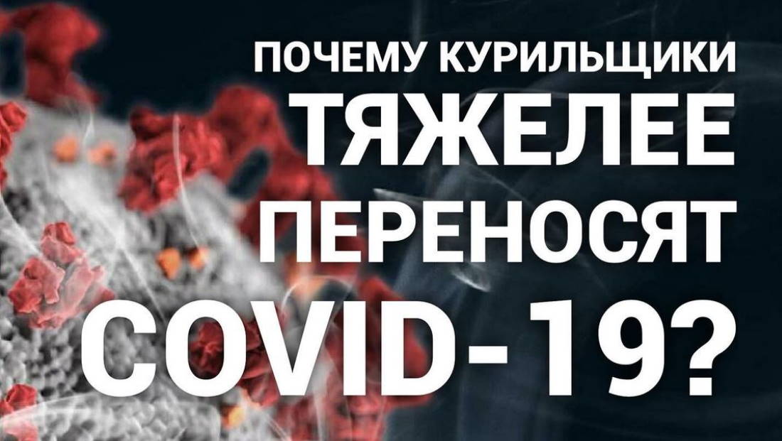 Почему курильщики тяжелее переносят COVID-19?
