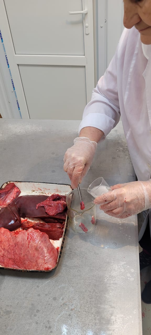 Ветеринарно-санитарная экспертиза мясо-молочных продуктов и овощей в г. Нальчик