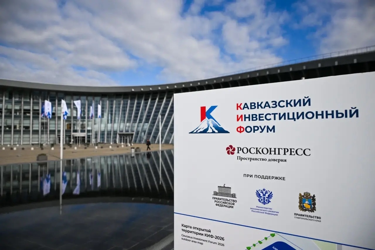КИФ: овцеводство может вырасти почти на 30% за счёт экспорта в Китай, Иран и Турцию