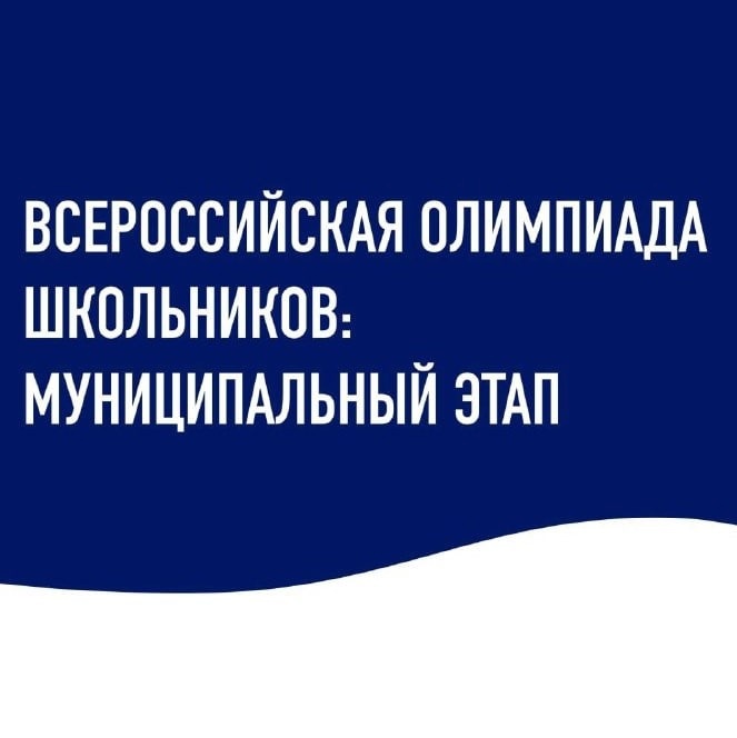 Во всех регионах страны проходит муниципальный этап Всероссийской олимпиады школьников