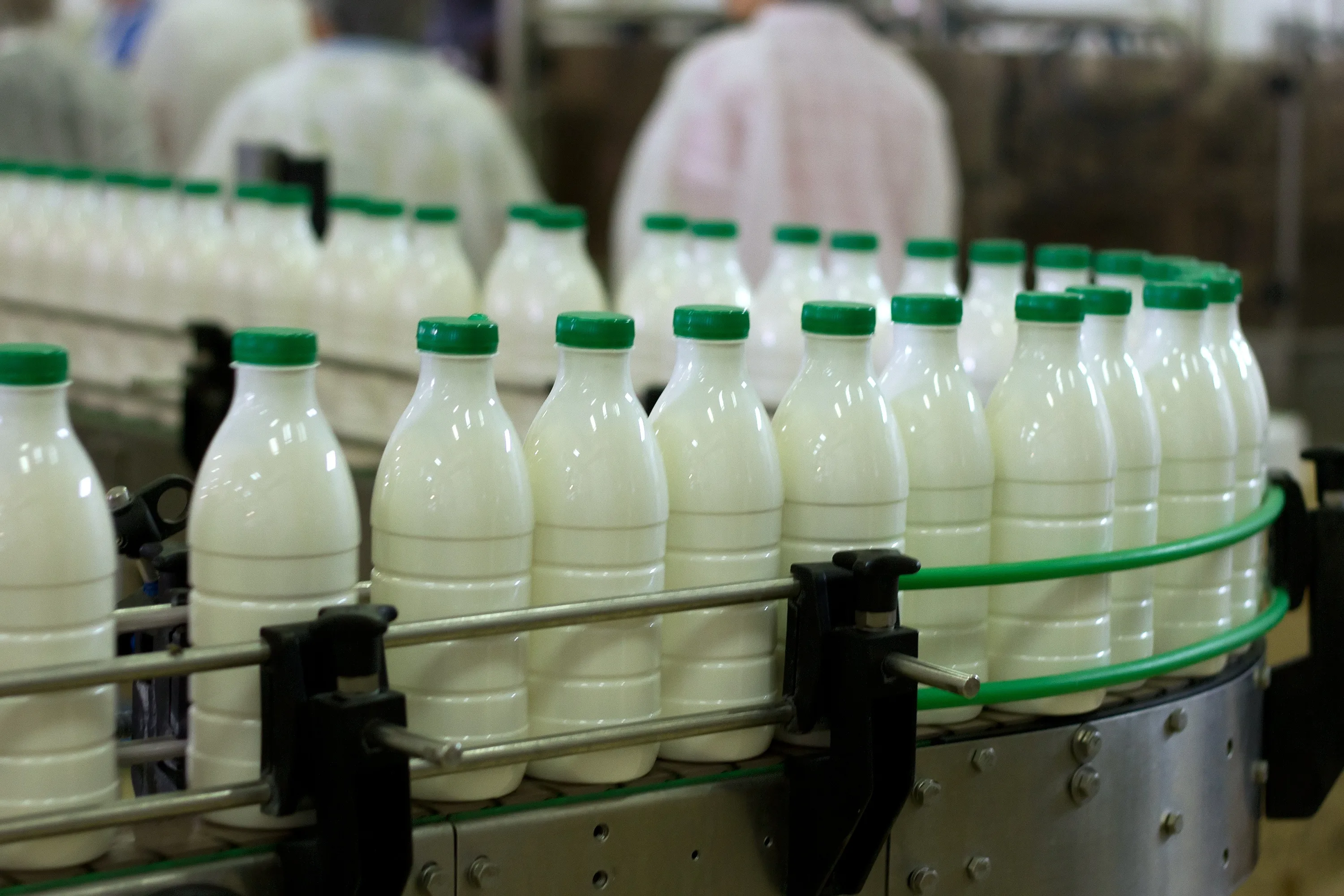 КИФ: спрос на продукты от фермеров Северного Кавказа вырос в 1,5 раза за год