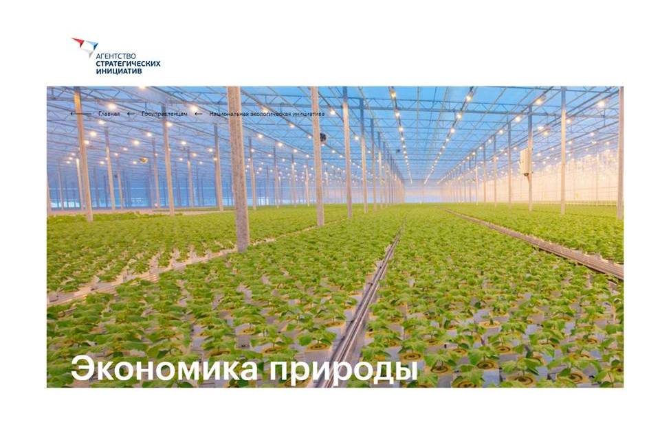 О разработке региональных инвестиционных проектов в сфере экономики природы