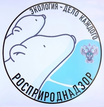Федеральная служба по надзору в сфере природопользования проводит Международную детско-юношескую премию «Экология - дело каждого» 