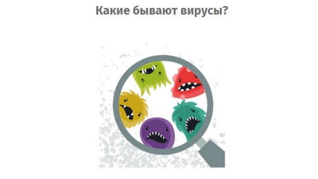 Какие бывают вирусы?