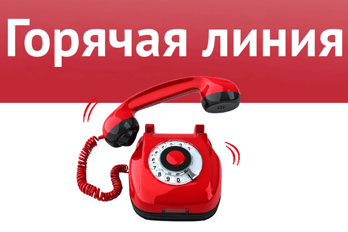 Прокуратурой Майского района организована горячая линия
