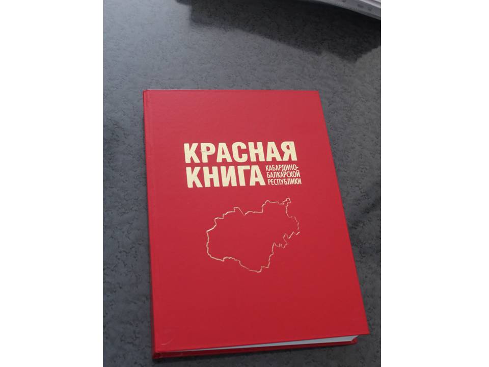 Состоялось очередное заседание межведомственной комиссии по ведению Красной книги КБР