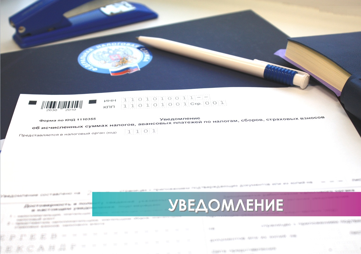  Сроки представления уведомления и уплаты основных налогов и страховых взносов в декабре 2025 года
