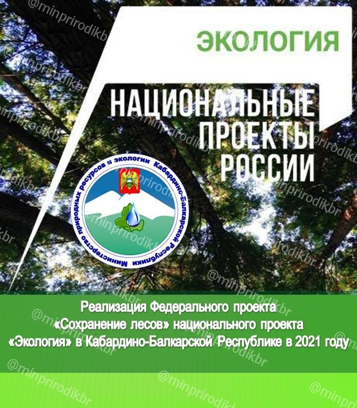 Реализация Федерального проекта «Сохранение лесов» национального проекта «Экология» в Кабардино-Балкарской Республике в 2021 году