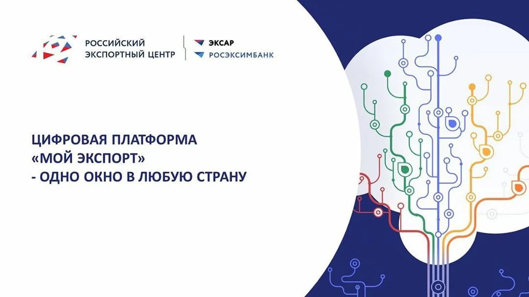 На платформе «Мой экспорт» Российский Экспортный Центр создаст витрину для поставщиков услуг для экспортеров