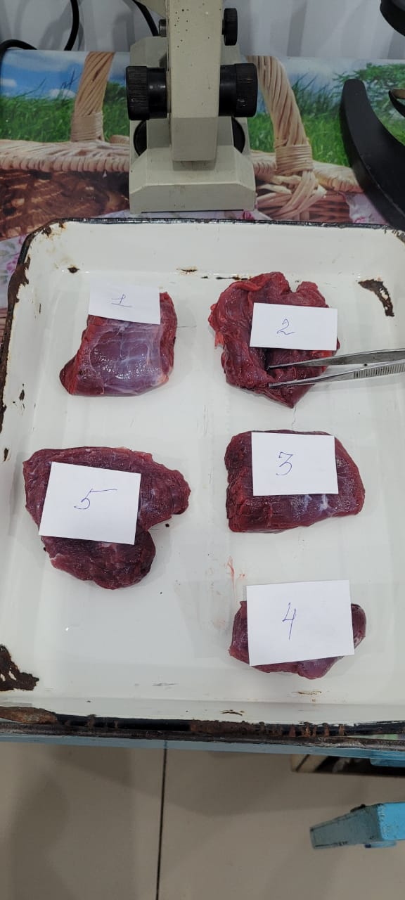 Ветеринарно-санитарная экспертиза мяса, мясных и молочных продуктов в Прохладненском районе