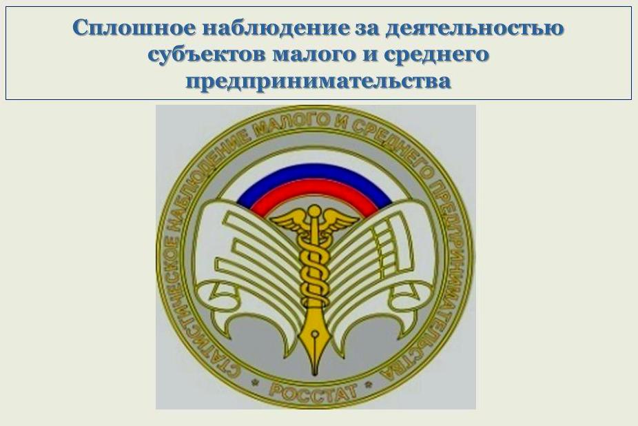 Сплошное статистическое наблюдение малого и среднего бизнеса за 2020 год