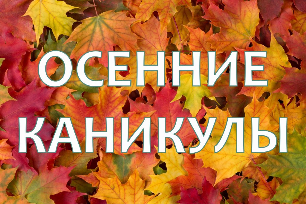 В Кабардино-Балкарии школьные каникулы начнутся с 23 октября 